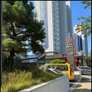 쌀발효 공방 미화가 이미지