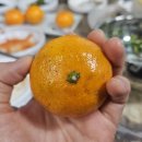 바글바글통영의맛