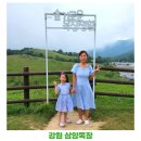 부곡동 산23-12~부곡동708 주변 | 강원도 평창 삼양목장 비오는날 방문 셔틀버스 타고 여행