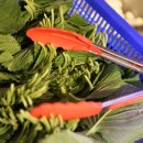 청춘생삼겹살 이미지