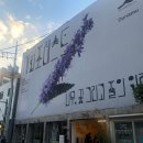 풀;꽃;나무 | 세컨포레스트: 나무, 꽃 그리고 풀의 위로 팝업 후기