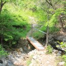 왕소나무집 이미지