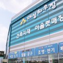 엘리지앙 이미지