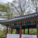 도솔암찻집 | 〔고창 선운산 도솔암 59〕마애미륵부처와 내원궁 지장보살이 계신 곳, 그저 고요하게 !! 26. 4. 19(일)