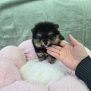 (주)팔달에너지 네이버블로그