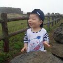 제주도 푸른밤 이미지