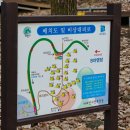 바라산자연휴양림 이미지