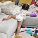[모모래빗] 여름기저귀 추천 초슬림 통기대장 모모래빗 에코씽씽