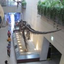 전자통신연구원 이미지