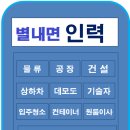 마석개미인력 이미지