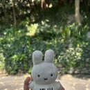 1/던킨도너츠/쇠소깍제미니국수/제주올레시장/순이네분식집/할머니떡집/오메기떡/표선멸치국수/오설록...