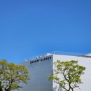 제주여행DAY3-보룡제과, 스누피가든, 송당동백낭식당