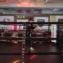 완월동243 이미지