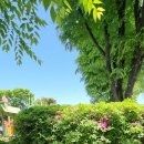 충주어린이집 이미지