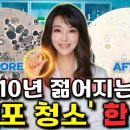 노화세포 없애는 피세틴 복용법 이미지