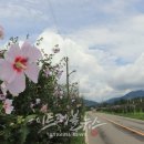 무궁화100리길 이미지