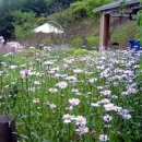 리버힐펜션 이미지