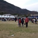 벚꽃뮤직