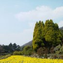일운약수터 Daum카페