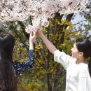 울산과학대학교 이미지