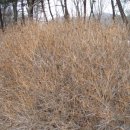 청주 우암산성 이미지