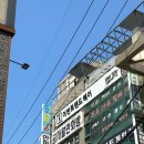 크리스탈 반려견미용실 | 수유역미용실 애견 동반 가능한 채광 맛집 중단발CS컬펌