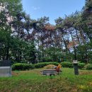 노작 홍사용 묘역 이미지