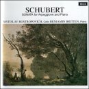 슈베르트, 아르페지오네 소나타 a단조 D.821 (Schubert - Arpeggione Sonata in A minor D. 821) / 문학수 이미지