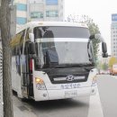 몽양길 Daum카페