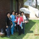 기성초교 이미지