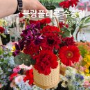 군산꽃집 블랑플레르 군산어버이날 카네이션 꽃바구니 예약 후기