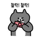 썸 네일(Some nail)