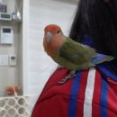 인식농장 이미지