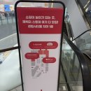 애플화장품 | [부산 갈만한곳] 신세계 센텀시티몰 지하 1층, 대형 캐릭터 상품존 헬로키티 애플카페 후기