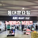 GS뉴건대원룸점 | 동대문 쇼핑 두타몰 ABC마트 뉴발란스 브리즈 실버 250 메리제인 스타일 여자 여름 샌들 내돈내산 구매후기