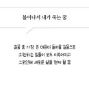 265번째 / 된장~고추장~메롱이다요 ~ 이미지