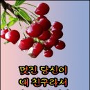 ♡가슴에 남는 좋은사람♡ 이미지