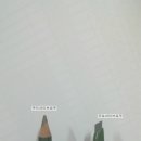 브로우우드 이미지