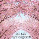 시끌벅쩍
