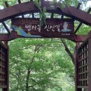 진작지민박 이미지