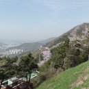 시루봉 Daum카페