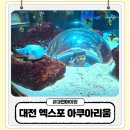 엑스포조명 | 대전 아이랑 가볼만한곳 대전 엑스포 아쿠아리움 후기 공연까지 알찬 실내여행