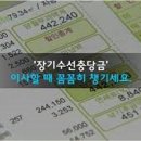 지지수선 이미지