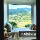 스테이외송 이미지