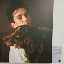 사진전시회 | 여의도 놀거리 캣츠앤독스 애견동반 사진전시회 관림후기