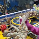 만찬식당 | 가락시장 킹크랩 시세 좋은 정화수산 &amp; 만찬식당 내돈내산 솔직후기 (살수율, 볶음밥 꿀팁)