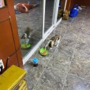 달맞이황토불한증막 이미지