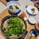 [콩닥트립] 강원도 양양 설해원 리조트 곧은 레스토랑 이용 후기 메뉴 추천
