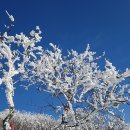 2023. 2. 25. 토요일 정기산행 - 평창 계방산 눈꽃산행 이미지