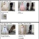 [💍_헤어변형] 더페트라 내돈내산 솔직후기 (영은원장님//스튜디오 헤어변형: 반묶음, 포니테일, 로우번)
